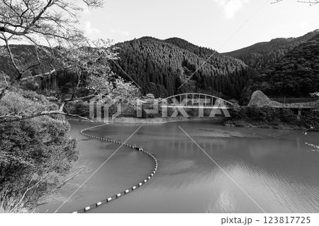 モノクロ　桜の花が咲く季節に映える　 奥球磨県立自然公園・市房ダム風景　(熊本県球磨郡水上村湯山) 123817725