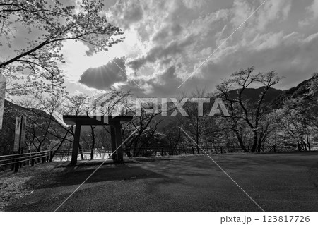モノクロ　桜の花が咲く季節に映える　 奥球磨県立自然公園・市房ダム風景　(熊本県球磨郡水上村湯山) 123817726