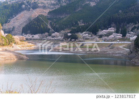桜の花が咲く季節に映える 奥球磨県立自然公園・市房ダム風景 (熊本県球磨郡水上村湯山) 桜の花が咲く季節に映える 奥球磨県立自然公園・市房ダム風景 (熊本県球磨郡水上村湯山) 123817817