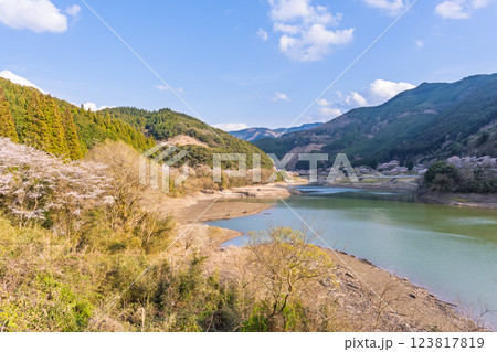 桜の花が咲く季節に映える　 奥球磨県立自然公園・市房ダム風景　(熊本県球磨郡水上村湯山) 123817819