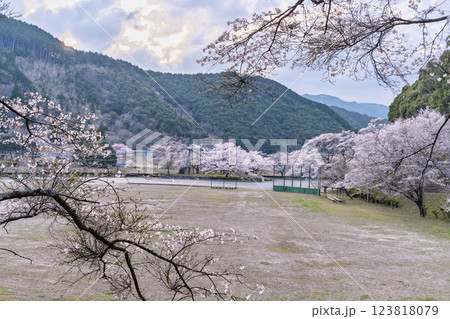 夕暮れ 桜の花が咲く季節に映える  奥球磨県立自然公園・市房ダム風景 (熊本県球磨郡水上村湯山) 夕暮れ 桜の花が咲く季節に映える  奥球磨県立自然公園・市房ダム風景 (熊本県球磨郡水上村湯山) 123818079