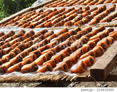 あんぽ柿の天日干しの風景 あんぽ柿の天日干しの風景 123818365