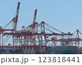 荷役をする貨物船 123818441