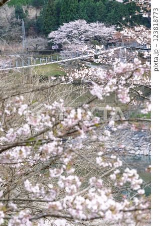 観光・行楽スポット 桜の花が咲く季節に映える汗の原 親水公園 (熊本県球磨郡水上村湯山) 観光・行楽スポット 桜の花が咲く季節に映える汗の原 親水公園 (熊本県球磨郡水上村湯山) 123818773