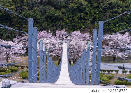 観光・行楽スポット 桜の花が咲く季節に映える汗の原 親水公園 (熊本県球磨郡水上村湯山) 観光・行楽スポット 桜の花が咲く季節に映える汗の原 親水公園 (熊本県球磨郡水上村湯山) 123818782