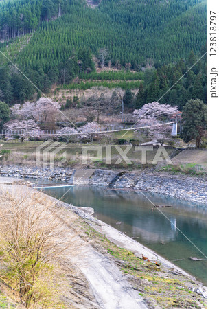 観光・行楽スポット　桜の花が咲く季節に映える水輝橋　汗の原　親水公園　 　(熊本県球磨郡水上村湯山) 123818797