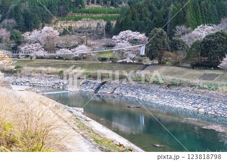 観光・行楽スポット　桜の花が咲く季節に映える水輝橋　汗の原　親水公園　 　(熊本県球磨郡水上村湯山) 123818798