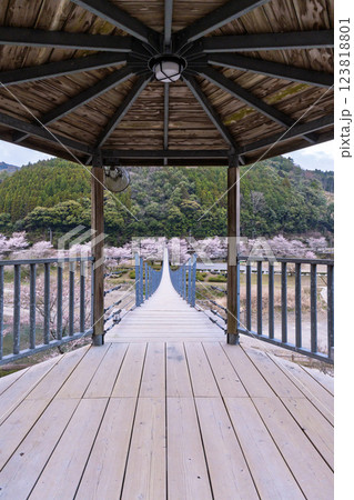 観光・行楽スポット 桜の花が咲く季節に映える水輝橋 汗の原 親水公園 (熊本県球磨郡水上村湯山) 観光・行楽スポット 桜の花が咲く季節に映える水輝橋 汗の原 親水公園 (熊本県球磨郡水上村湯山) 123818801