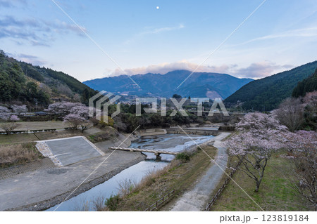 周辺風景　桜の花が咲く季節に映える水輝橋　汗の原　親水公園　 　(熊本県球磨郡水上村湯山) 123819184
