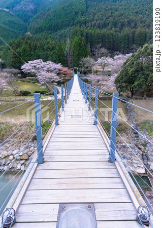 桜の花が咲く季節に映える水輝橋 汗の原 親水公園 (熊本県球磨郡水上村湯山) 桜の花が咲く季節に映える水輝橋 汗の原 親水公園 (熊本県球磨郡水上村湯山) 123819190