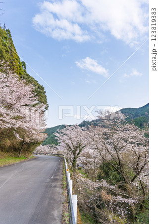 観光・行楽スポット　桜の花が咲く季節に映える汗の原　親水公園　 　(熊本県球磨郡水上村湯山) 123819383