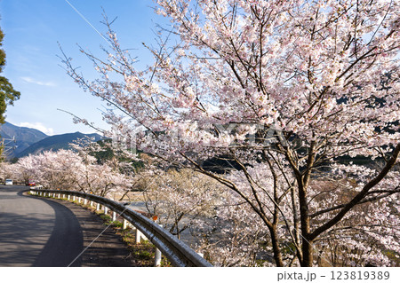 観光・行楽スポット　桜の花が咲く季節に映える汗の原　親水公園　 　(熊本県球磨郡水上村湯山) 123819389