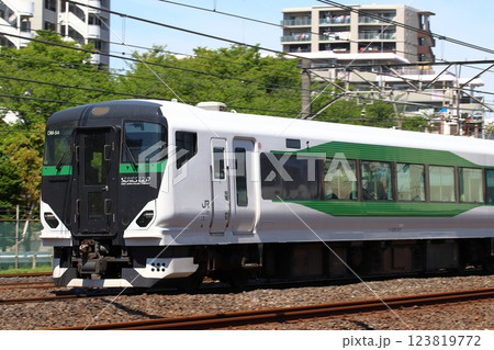 高崎線特急あかぎ号：E257系電車（上野行列車） 123819772