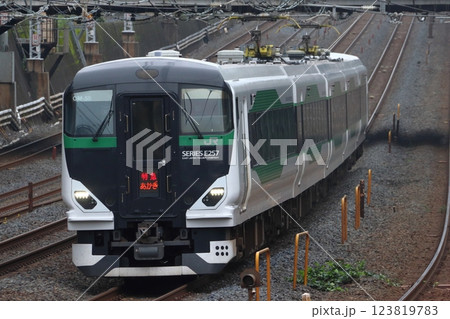 高崎線特急あかぎ号：E257系電車（上野行列車） 123819783