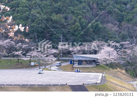 桜の花が咲く季節に映えるダム湖周辺　 奥球磨県立自然公園・市房ダム風景　(熊本県球磨郡水上村湯山) 123820131