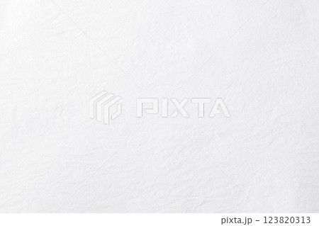 白い和紙のテクスチャー 123820313