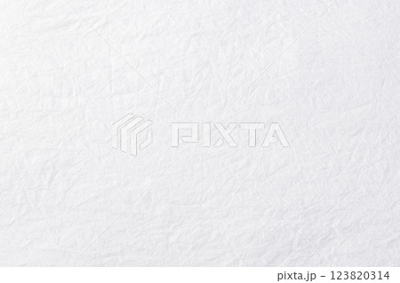 白い和紙のテクスチャー 白い和紙のテクスチャー 123820314