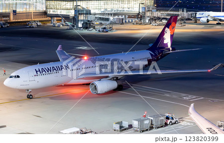 ハワイアン航空A330羽田タキシング 123820399