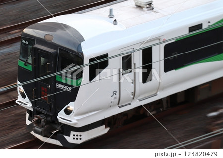 特急草津・四万号（E257系電車：上野⇔長野原草津口） 123820479