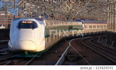 東北新幹線を行く緑帯E2系（山形新幹線E3系つばさ併結） 123820541