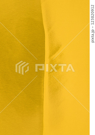 金(ゴールド)の葉脈【背景素材】 金(ゴールド)の葉脈【背景素材】 123820912