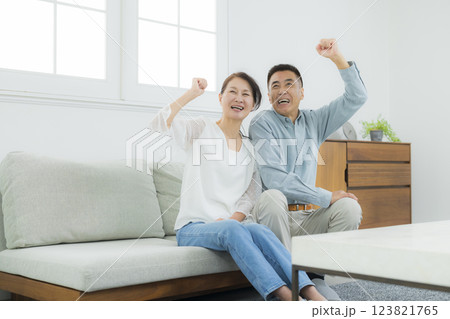 リビングのシニア夫婦 リビングのシニア夫婦 123821765