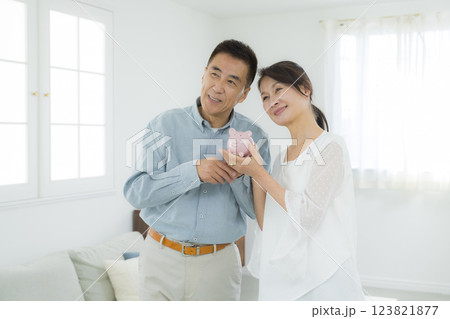 貯金箱を持つリビングのシニア夫婦 貯金箱を持つリビングのシニア夫婦 123821877