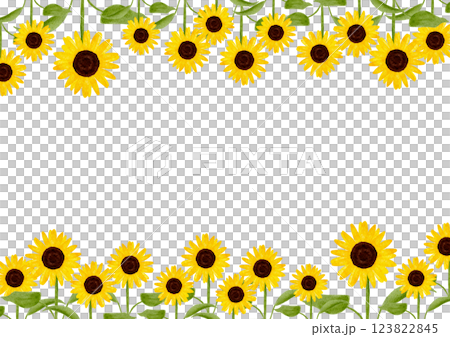 用水彩畫的向日葵花框插圖 123822845