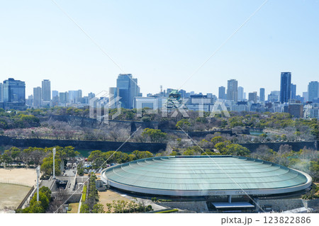 ホテルニューオータニから見た大阪城天守閣と大阪城ホール(2025年3月撮影) ホテルニューオータニから見た大阪城天守閣と大阪城ホール(2025年3月撮影) 123822886