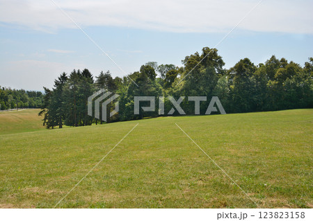 Cmrok meadow 123823158