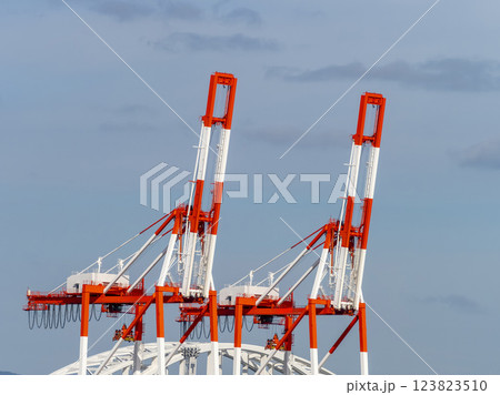 立ち並ぶガントリークレーン 123823510