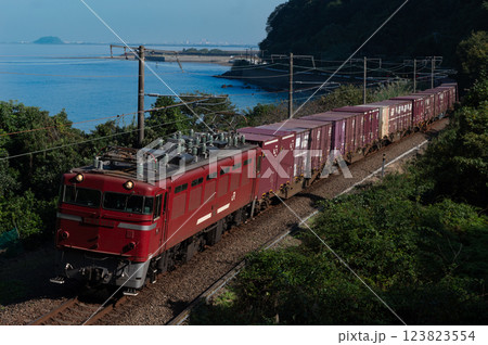 海岸線を行く貨物列車 123823554