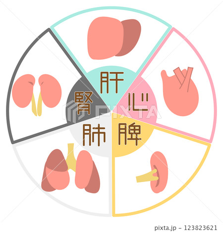 東洋医学・五行の臓器と色の図解イラスト 123823621