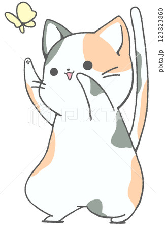 蝶にむかって両手を伸ばす三毛ネコ 123823860