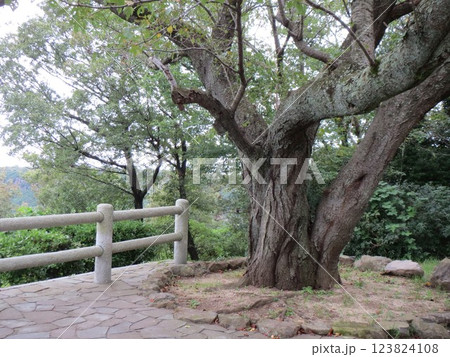 2014年・香川・高松・屋島・風景・寺院・屋島寺・其の百四十四 2014年・香川・高松・屋島・風景・寺院・屋島寺・其の百四十四 123824108