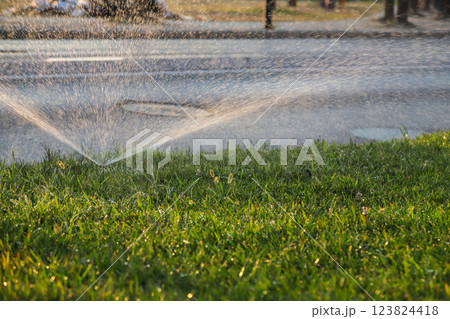 Sprinklers watering a green lawn in Albania during late afternoon under bright sunlight in a suburban area 123824418