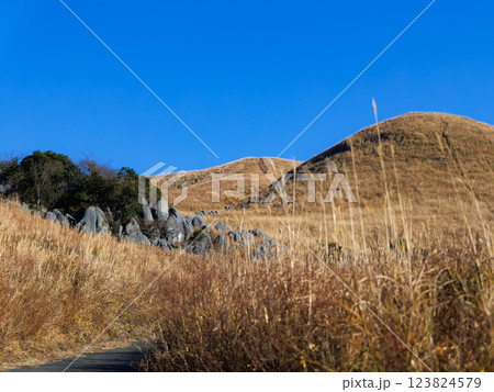 冬の平尾台（北九州市小倉南区） 123824579