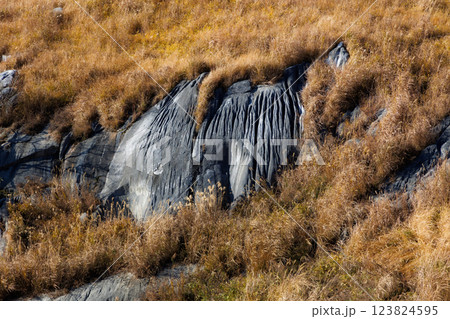 冬の平尾台（北九州市小倉南区） 123824595