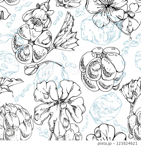 Cloudberry raspberry flying in water splashes with drops, ice cubes, hand drawn vector ink, line forest berry leaves. Seamless pattern illustration for restaurant, cafe menu, wedding, farmers market 123824621
