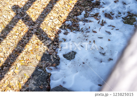 雪 ゆき 雪景色 積雪 冬素材 【神奈川県】 123825015