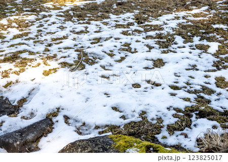 雪 ゆき 雪景色 積雪 冬素材 【神奈川県】 123825017
