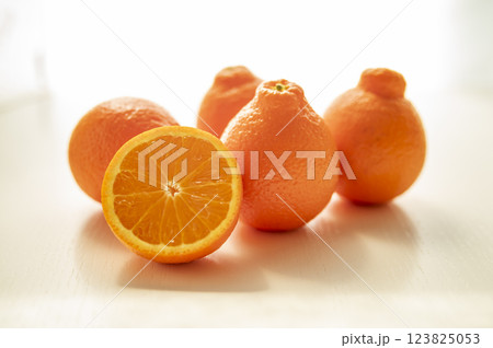 フロリダ州生まれミネオラオレンジ 123825053