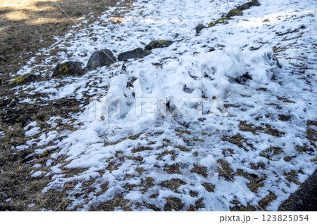 雪 ゆき 雪景色 積雪 冬素材 【神奈川県】 123825054