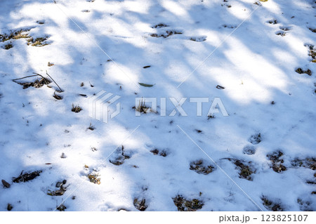 雪 ゆき 雪景色 積雪 冬素材 【神奈川県】 123825107