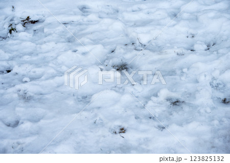 雪 ゆき 雪景色 積雪 冬素材 【神奈川県】 123825132