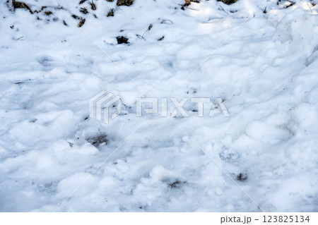 雪 ゆき 雪景色 積雪 冬素材 【神奈川県】 123825134