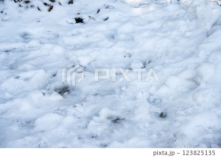雪 ゆき 雪景色 積雪 冬素材 【神奈川県】 123825135