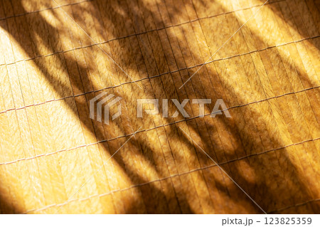 The shadow of a tall tree is beautifully cast upon a wooden floor The shadow of a tall tree is beautifully cast upon a wooden floor 123825359
