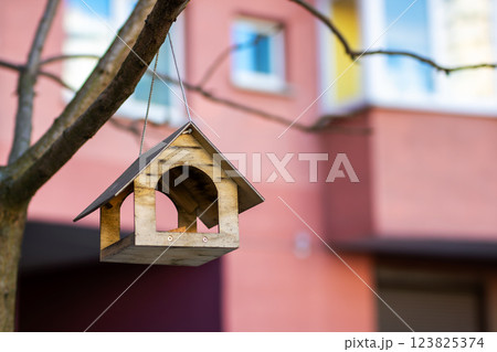 A colorful bird feeder hangs from a tree by a pink building A colorful bird feeder hangs from a tree by a pink building 123825374