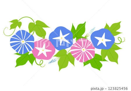 4棲類の朝顔のイラスト 123825456